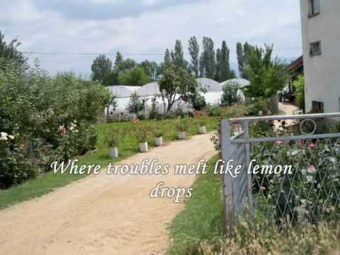 Over the rainbow ( Angelci )