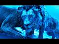Mufasa The Lion King Taka Betrays Mufasa Scene Recap