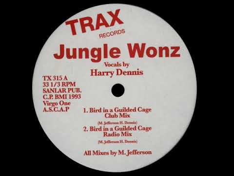 Jungle Wonz - Bird In A Gilded Cage (Club Mix)