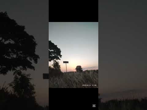 Daft Punk X L'Impératrice / mix (Giorgio by Moroder X La luna )