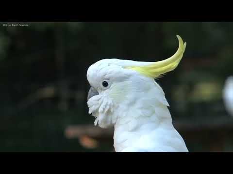 Opwekking 587 Ik was verloren