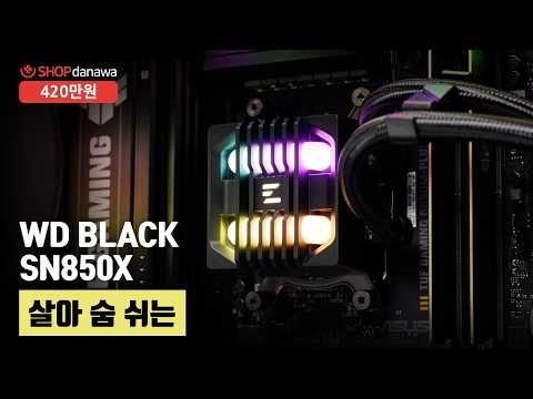 �߸� ALPHA II SE A36