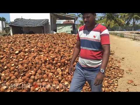download lagu mp3 mp4 Coconut Shell Buyers In Chennai, download lagu Coconut Shell Buyers In Chennai gratis, unduh video klip Coconut Shell Buyers In Chennai