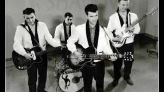 Bobby Vee & the Shadows - Remember the Day