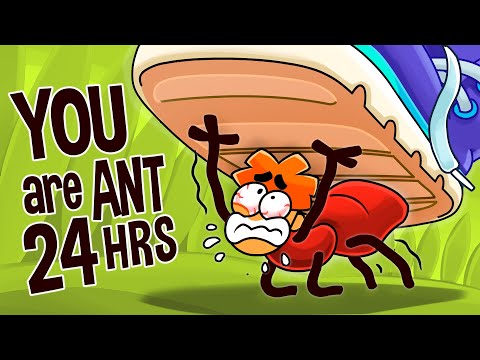 What If You Became An Ant For 24 Hours?