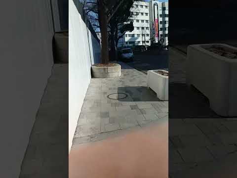 Garbage truck in front of Sajik park 2023 0222 09:36