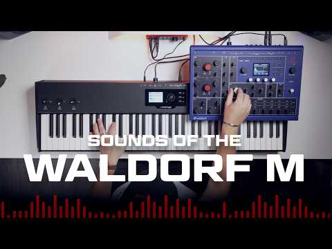 A True Analog Powerhouse Synthesizer / The Waldorf M