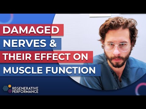 Damaged Nerves & Their Effect on Muscle Function