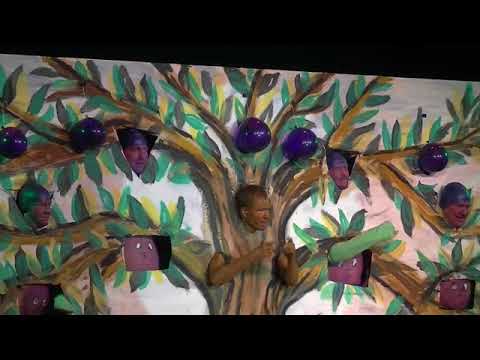 Zwetschgenbaum