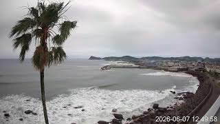 枕崎の海岸とヤッシー