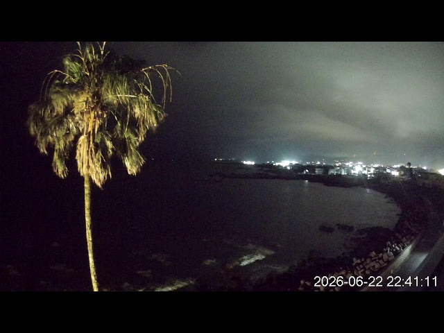 枕崎の海岸とヤッシー