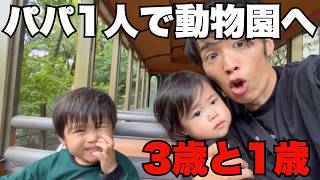 【ワンオペ】3歳と1歳を連れて動物園へ。パパ、ADHD発動😂