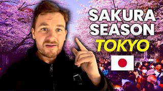 Tokyo's BEST Sakura Spot 🇯🇵 But Don't Make this Mistake...