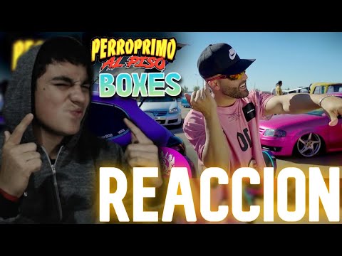 LE PEGA AL PERRO LITERAL🥶 |  REACCION a Perro Primo , DT.Bilardo , Al Records - BOXES