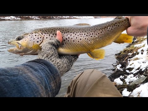 Fishing slow deep water searching for big browns!