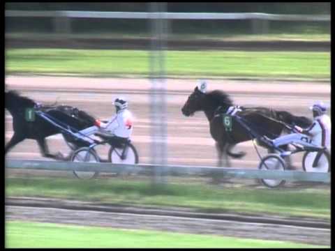 Duindigt 20 Mei 2012 Koers 4