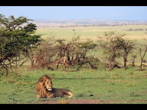 DIAMIR - Tansania - Auf Fotosafari in der Serengeti