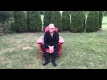 David J Vagabond Chronicles #8 - (Milton, Ontario, Canada)