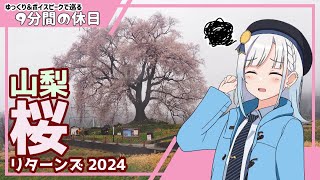 【ゆっくり＆ボイピ車載】山梨桜巡りリターンズ～前編＜9分間の休日＞