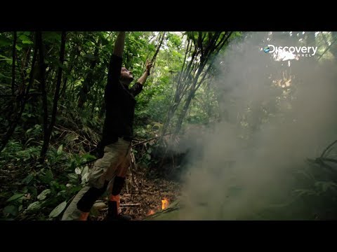 Bear Grylls: Escape From Hell - Left Behind