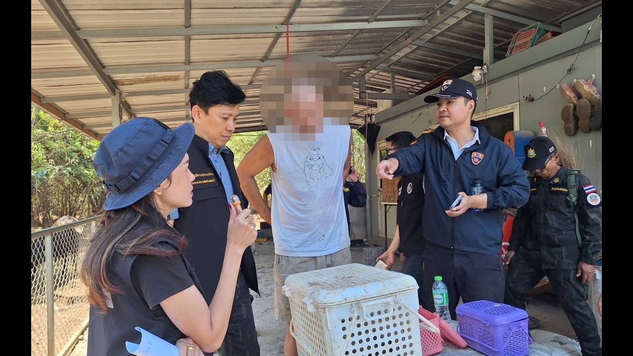 ACABAN de DETENER a FRANK CUESTA🚨ES OFICIAL: HAY DENUNCIA contra DALAS🚨😱 DALAS RESPONDE por ARGOS