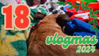 Day 18 - back home with Toaster! // Vlogmas 2024