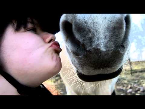 Top of the world | Magika |