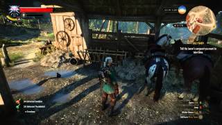 Witcher 3: Glitch; Two horses in one place