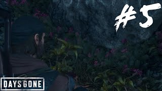 Sarah's Grave-Days Gone Remastered Part 5