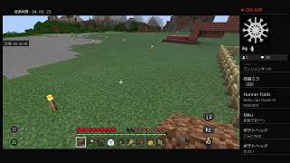 【Minecraft】巨大建築してます。