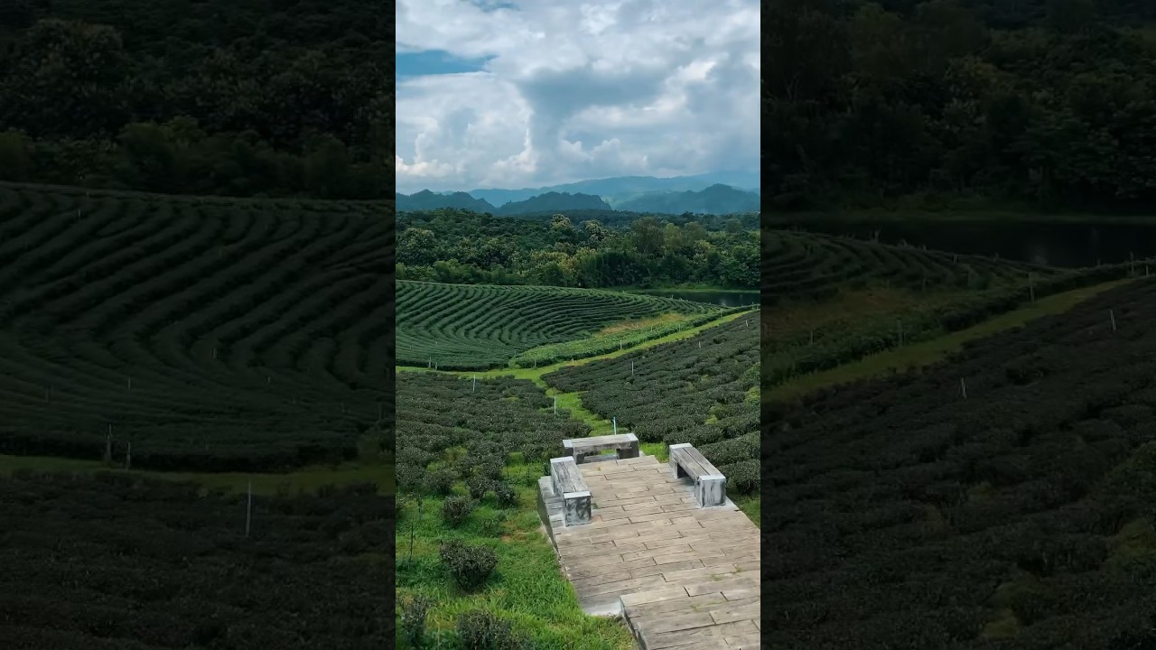 YouTube Short thumbnail