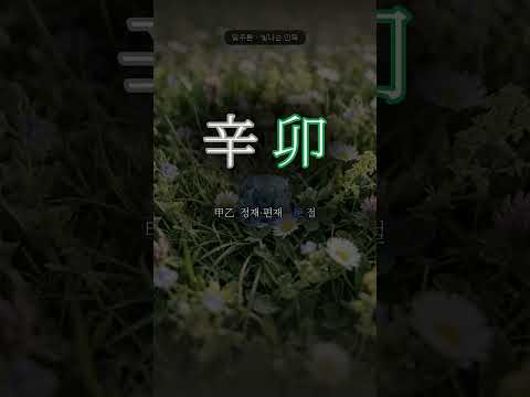 꽃밭에 놓인 보석 | 신묘(辛卯) 일주