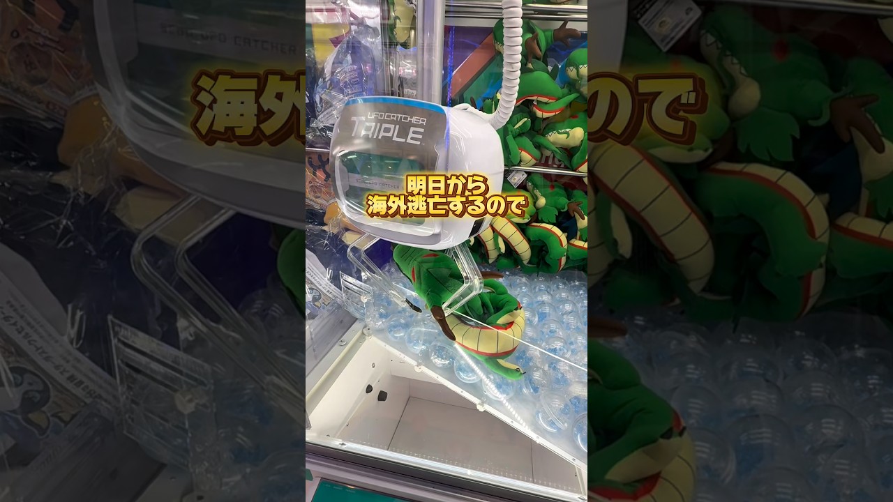 最近花粉やばいから海外に逃げます#クレーンゲーム #ufoキャッチャー #ユーフォーキャッチャー #ゲームセンター #gigo #確率無視 #ラウンドワン #ラウワン