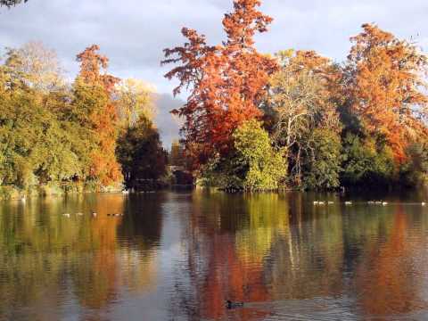 moby why does my heart feel so bad