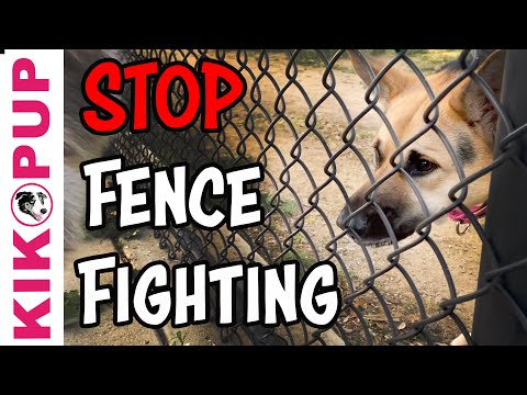 STOP UNWANTED behaviors with BACK UP