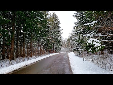 Beautiful Relaxing Heavy Snow, Toronto, Canada, January, 2021