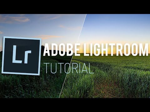 Wie ich mein "Feld" Bild in Adobe Lightroom Classic bearbeitet habe - Tutorial deutsch