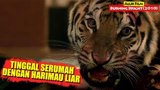 Download lagu Harimau Bengal Yang Tinggal Bersama Di Dalam Rumah | Alur Cerita Film BURNING BRIGHT (2010) mp3