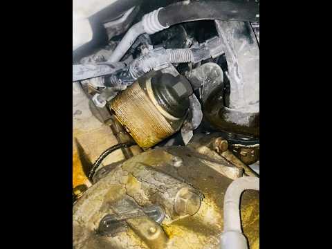 oil cooler leak repair #shorts #mechanic #oil#carrepair