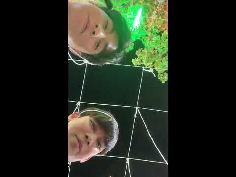 MewGulf | Secret IG Live to wish fans HNY2020