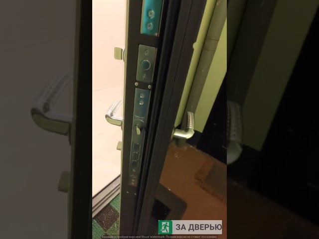 Видеоотзыв на дверь Гранит С9 зеркало (панель любая)