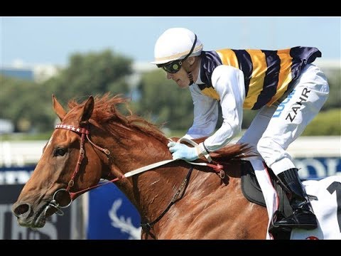 2018 ATC Ranvet Stakes