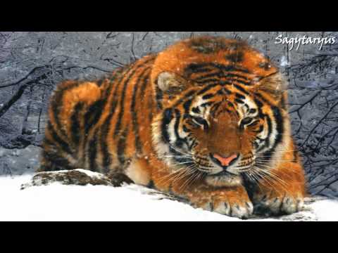 The Mountain Song (Pritouritze Planinata)