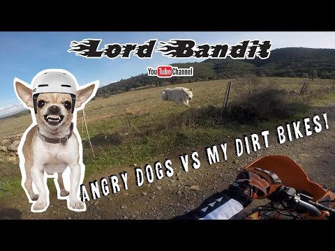 Angry dogs vs my dirt bikes + Angry people🐶👿