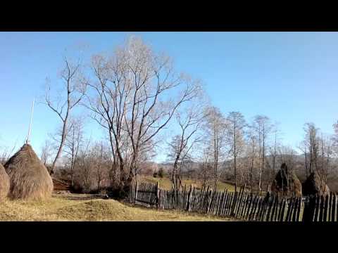 2015 11 12 972 Ciorile Dobresti