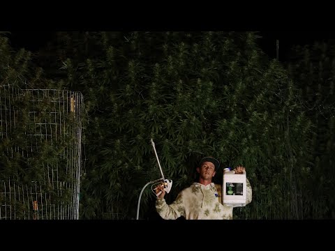 "Battle Of The Trees" |  THE END OF SEPTEMBER |Ep.13 OldE's Patch (Worlds Biggest Plant Contest)