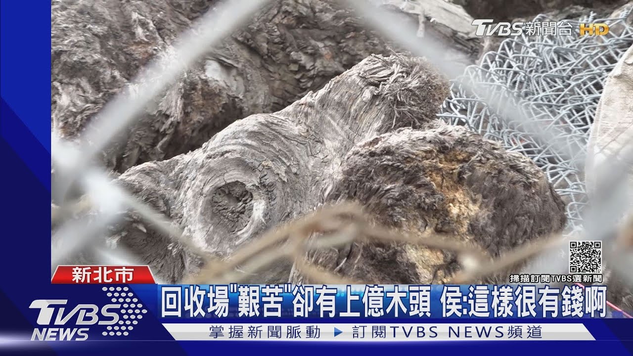 議員陳明義挺違法回收場嘆「艱苦」 卻爆有上億木頭