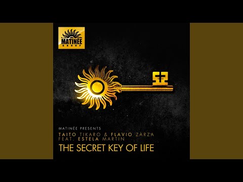 The Secret Key Of Life (feat. Estela Martin) (Tikaro & Flavio Terraze Mix)