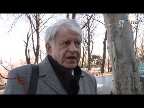 Identitate Basarabia - Alexandru Samoila