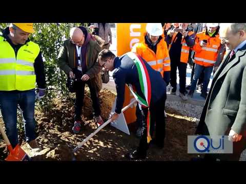 Amazon Passo Corese : Basilicata - Perticucci e il rito della capsula del tempo